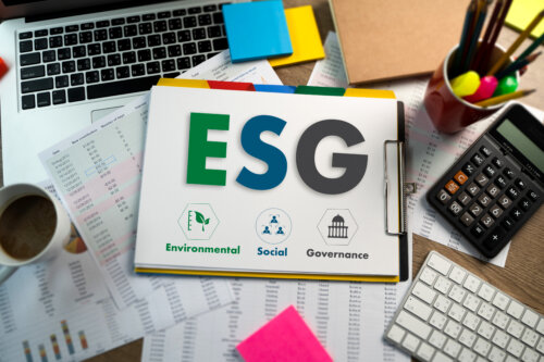 ESGとは？キャリアや関連職種・求められるスキル・キャリアパスを解説