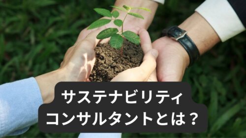 サステナビリティコンサルタントとは？業務内容や必要なスキル・資格、取り組む企業を紹介